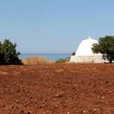 Noi per� proseguiamo sulla complanare per andare ad ammirare pi� da vicino i trulli. Ce ne sono di diversi tipi: bianchi, a punta e restaurati...